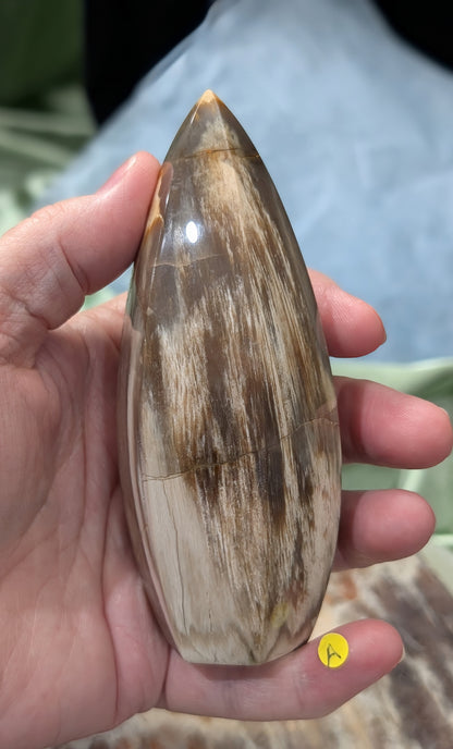 Petrified Wood Spear Point Flame