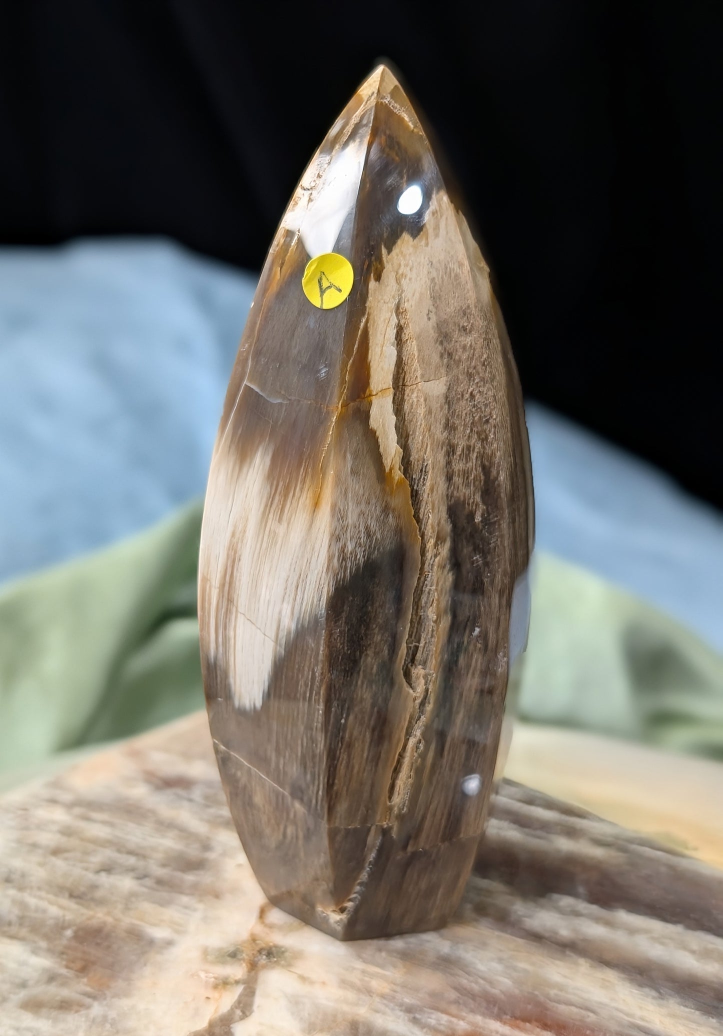 Petrified Wood Spear Point Flame