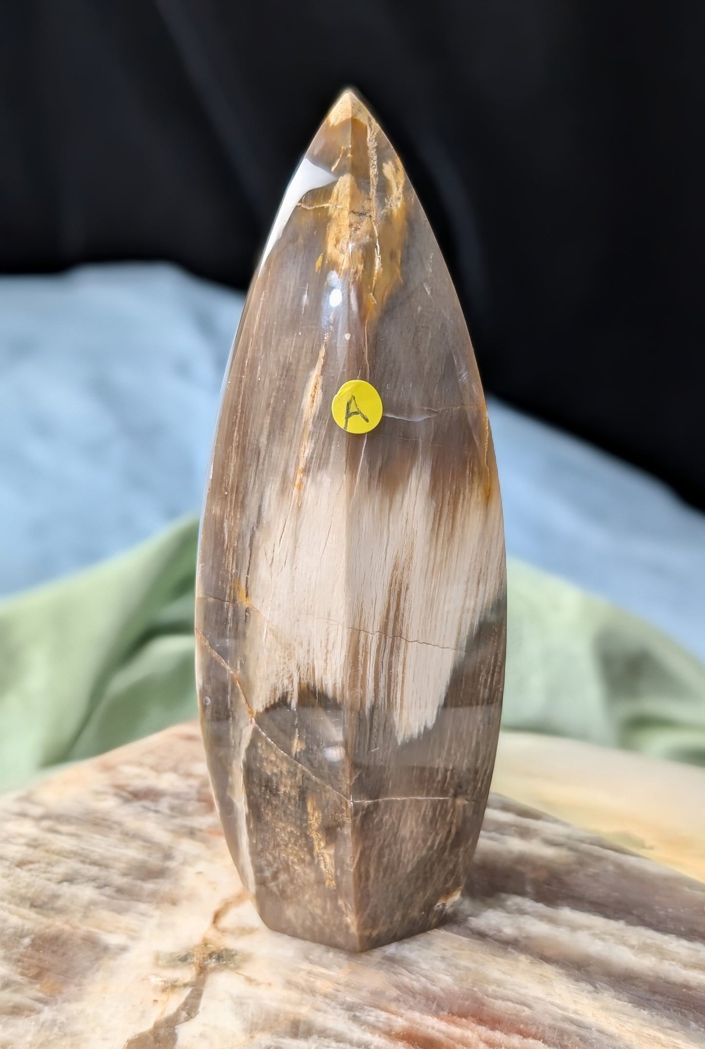 Petrified Wood Spear Point Flame