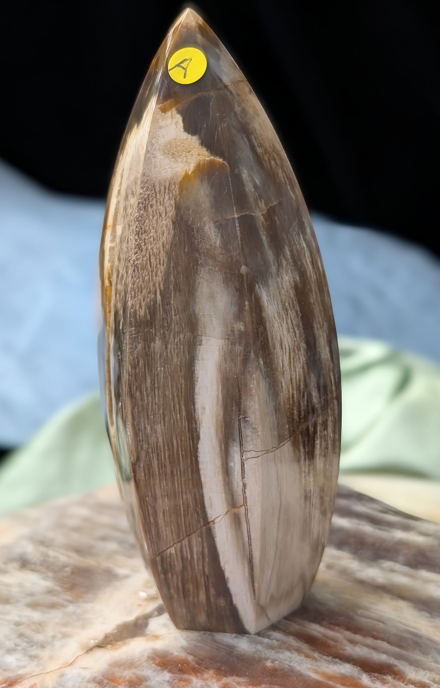 Petrified Wood Spear Point Flame