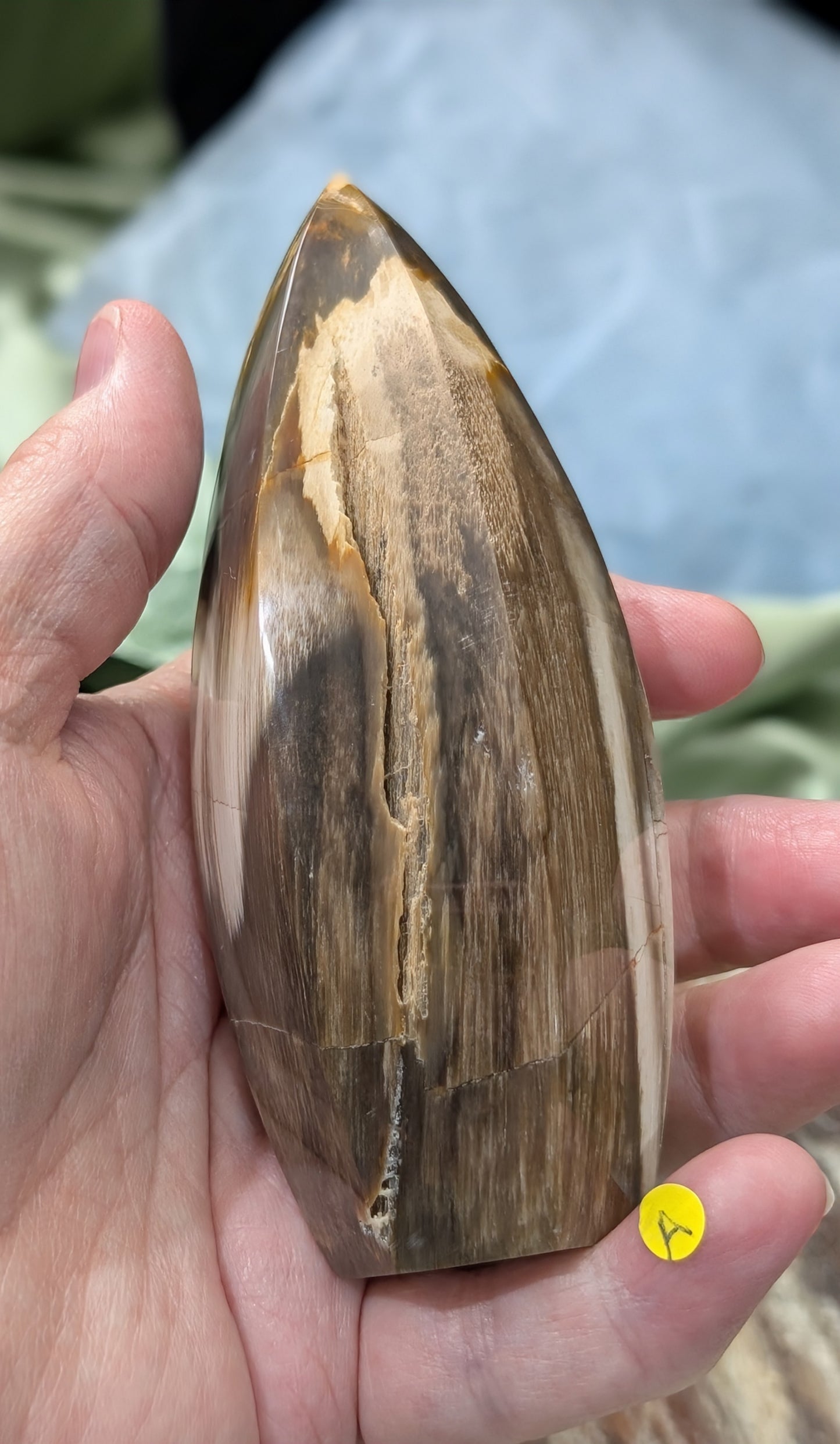 Petrified Wood Spear Point Flame