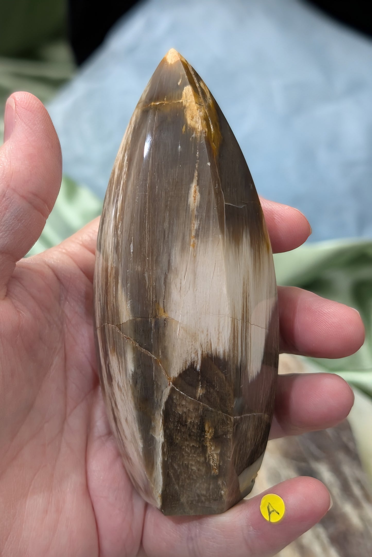 Petrified Wood Spear Point Flame