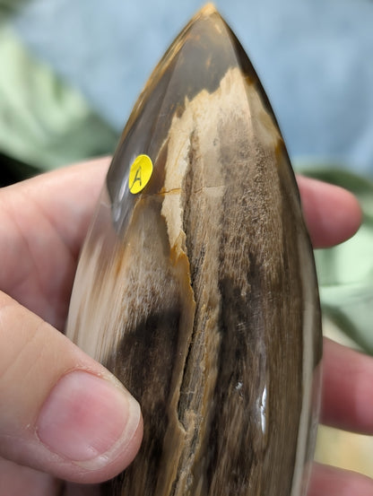 Petrified Wood Spear Point Flame