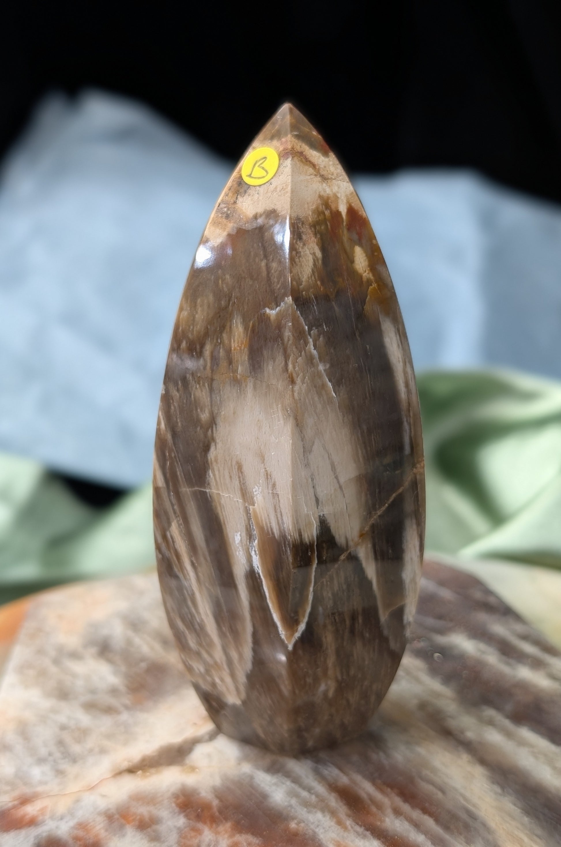 Petrified Wood Spear Point Flame