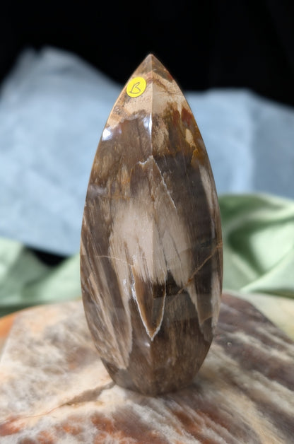 Petrified Wood Spear Point Flame