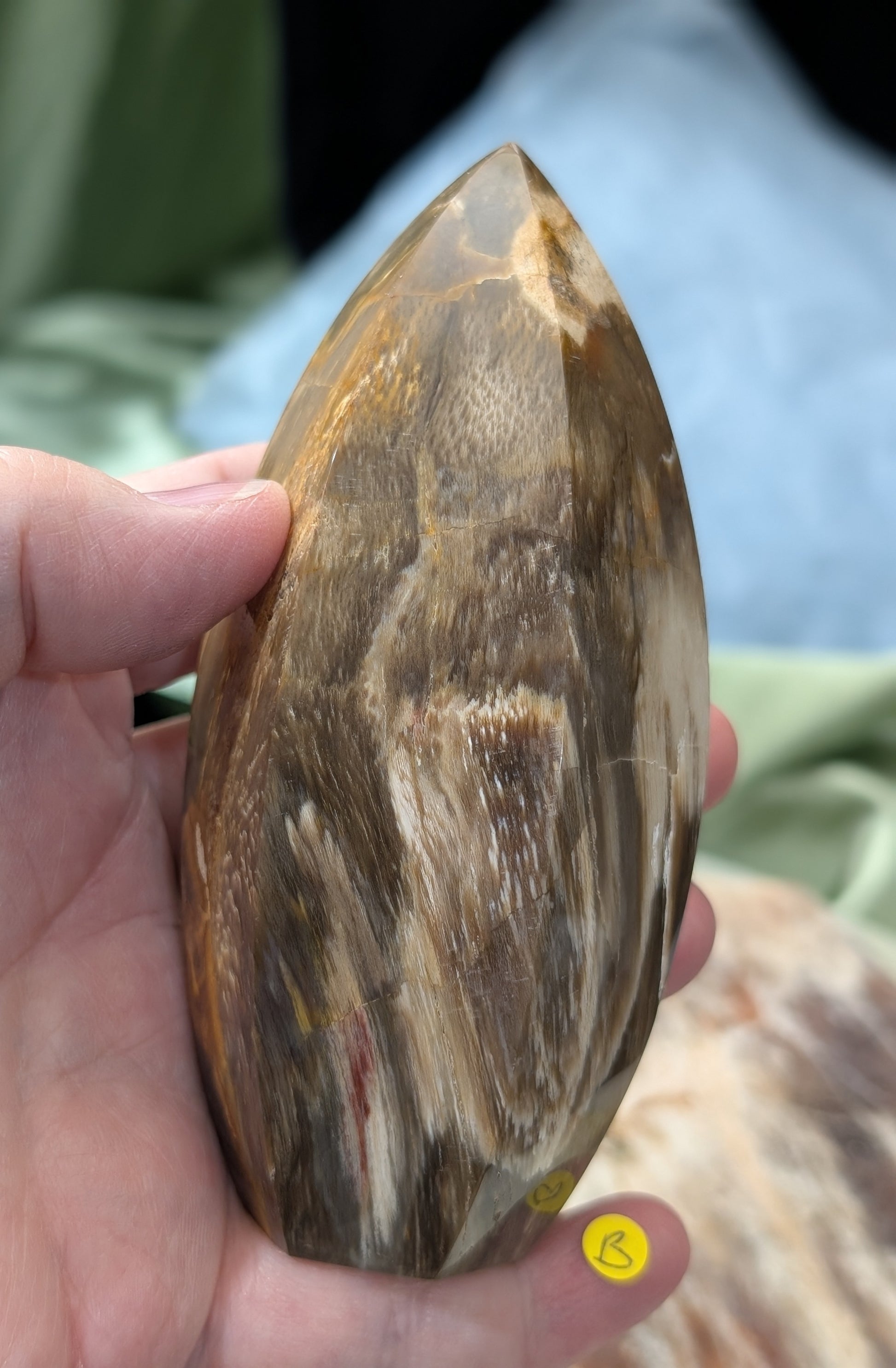 Petrified Wood Spear Point Flame