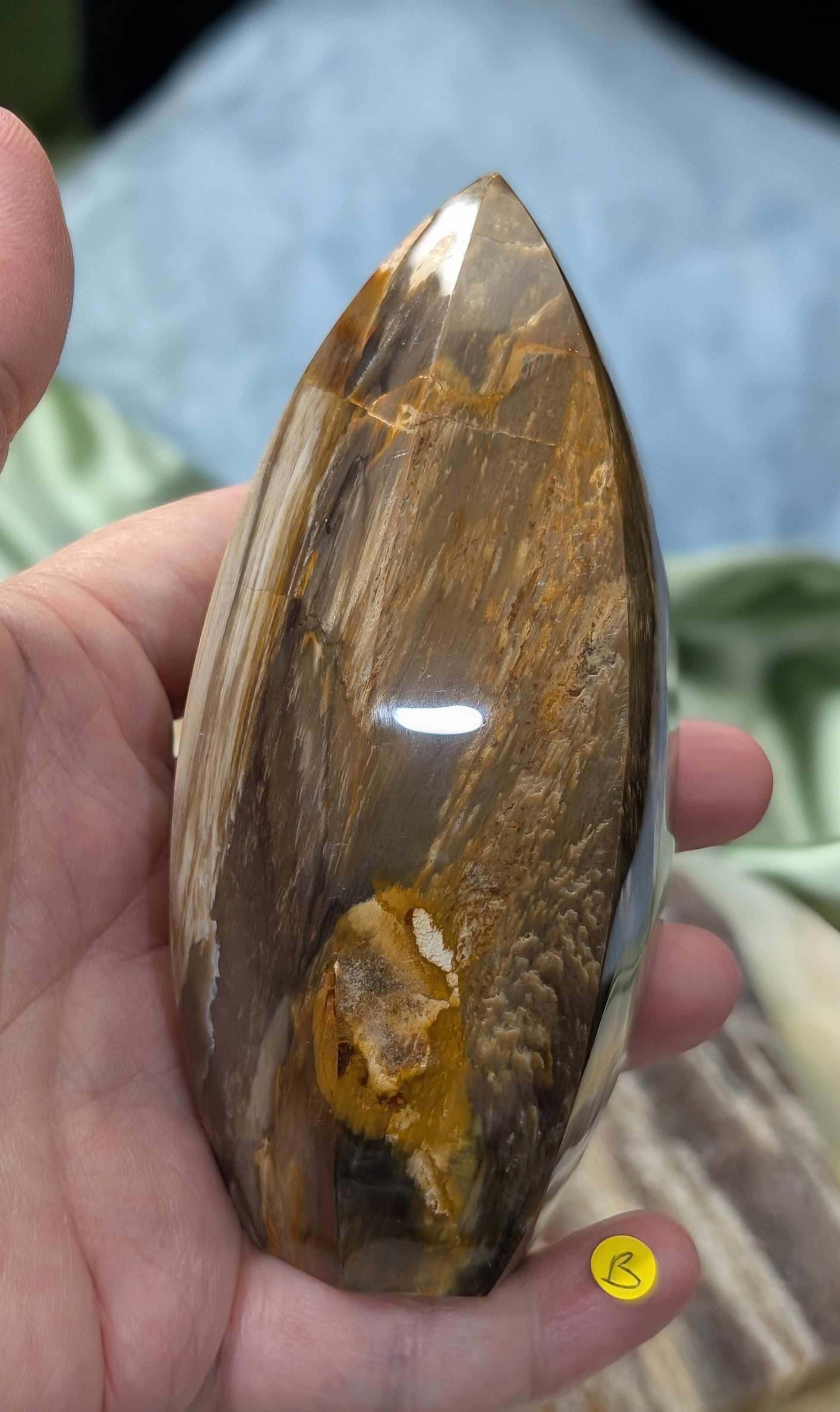 Petrified Wood Spear Point Flame