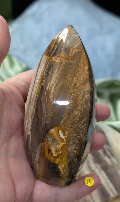 Petrified Wood Spear Point Flame