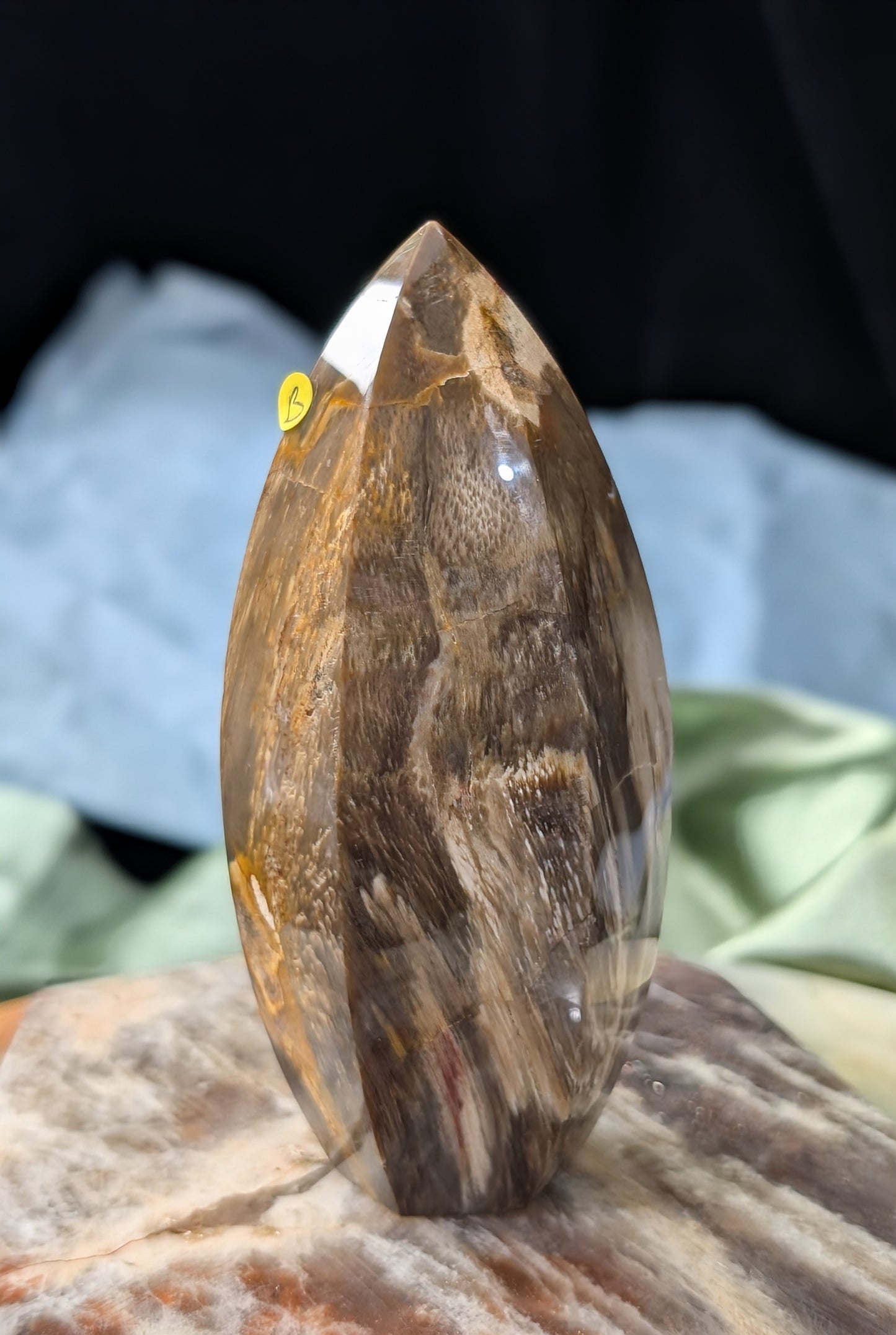 Petrified Wood Spear Point Flame