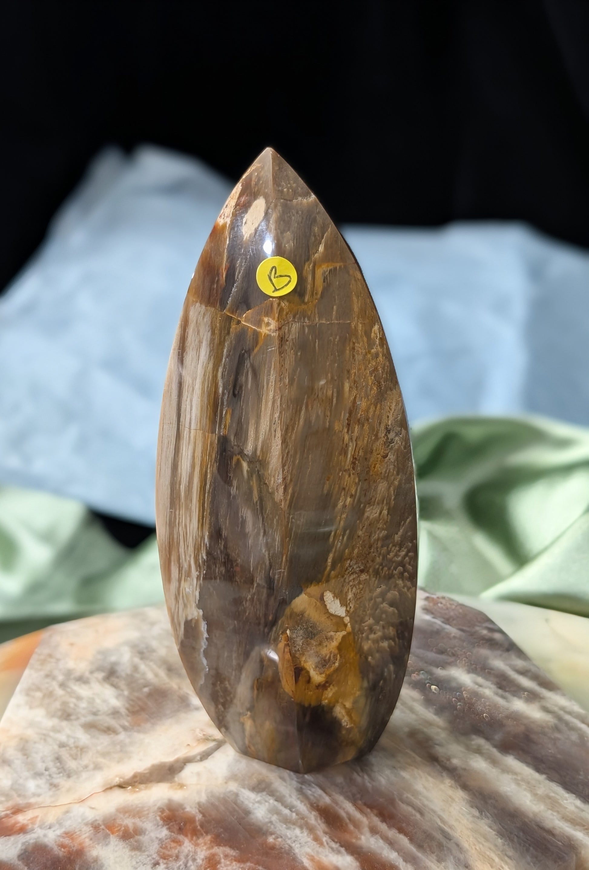 Petrified Wood Spear Point Flame