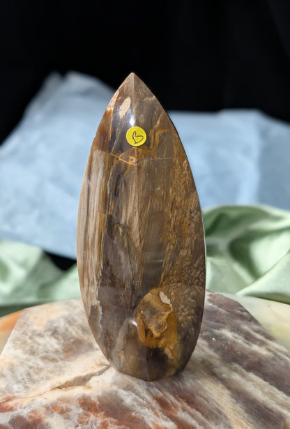 Petrified Wood Spear Point Flame