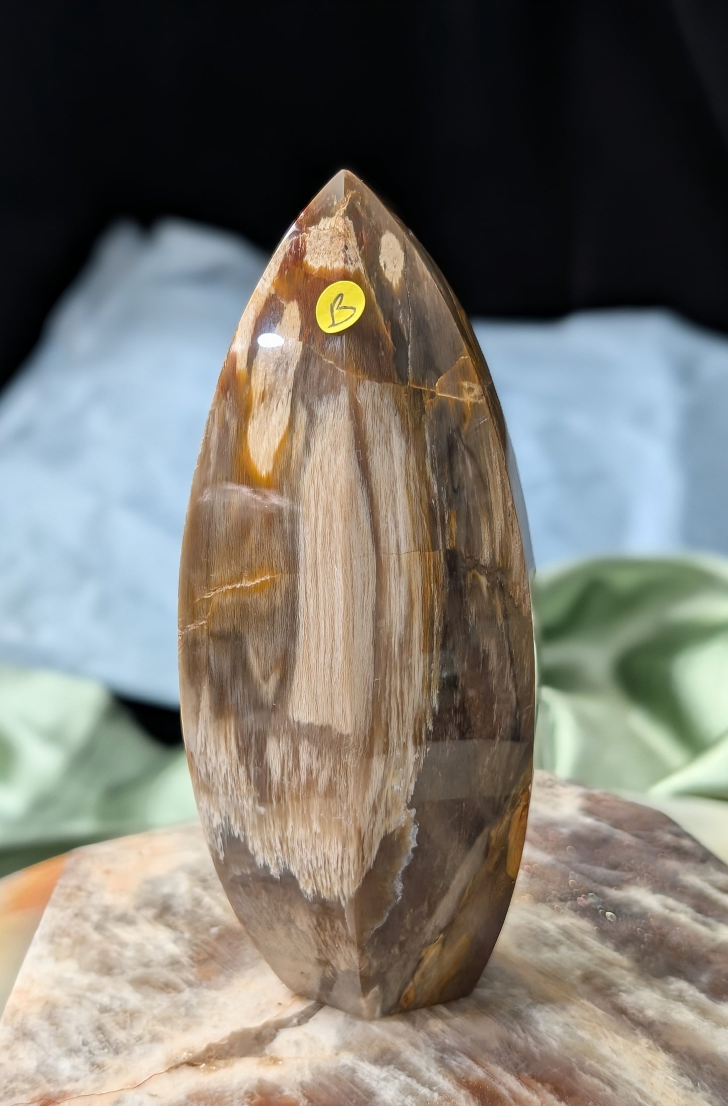 Petrified Wood Spear Point Flame