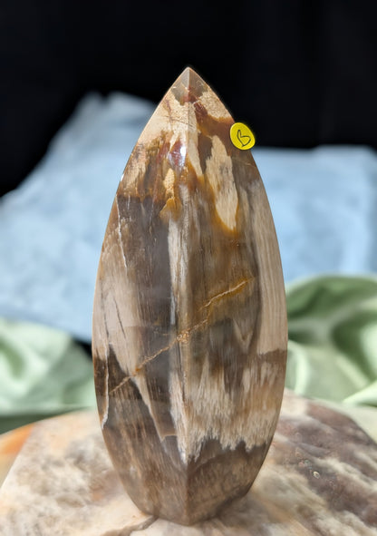 Petrified Wood Spear Point Flame
