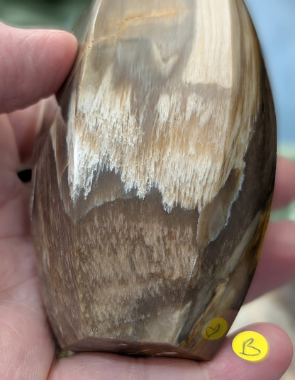 Petrified Wood Spear Point Flame