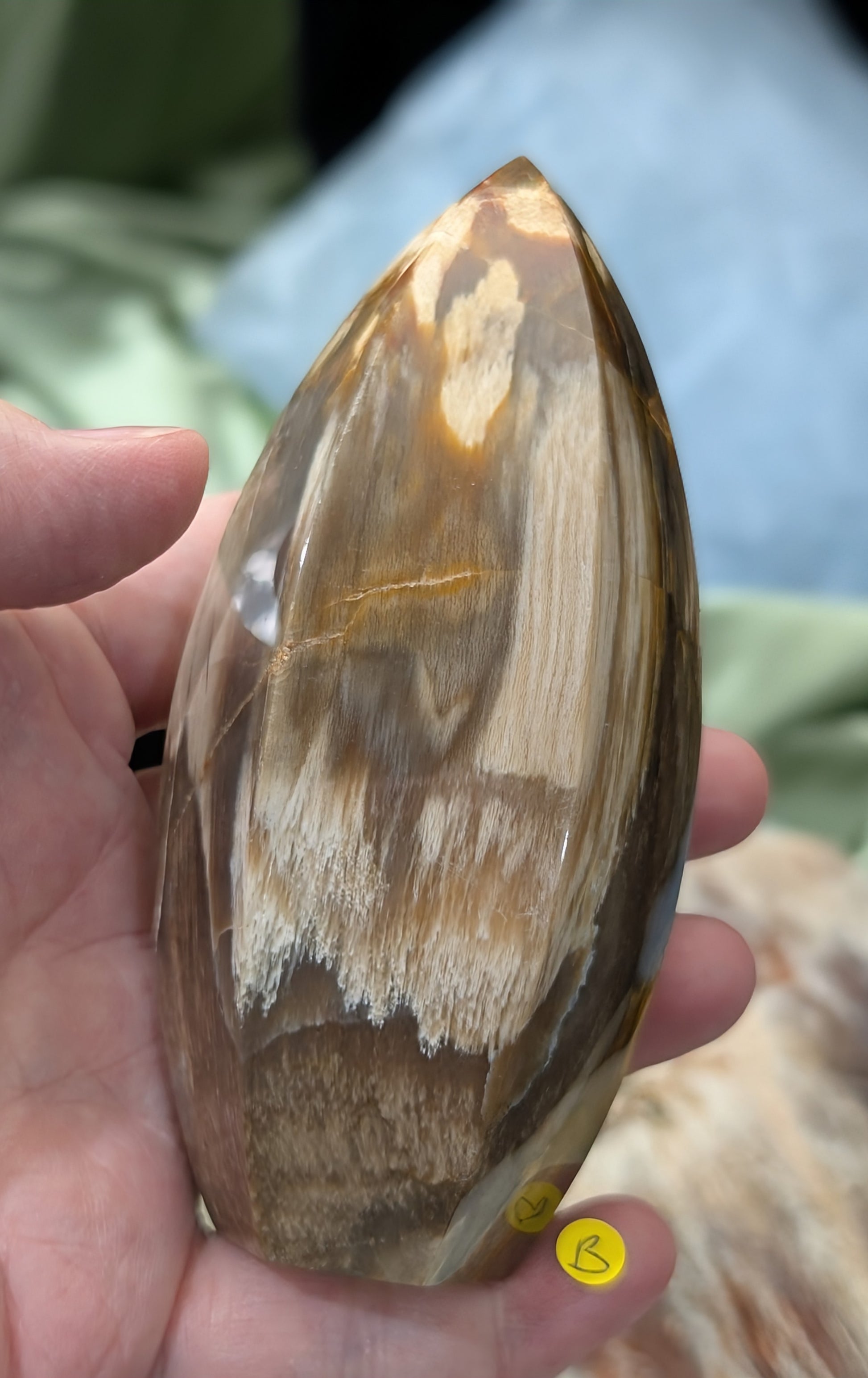 Petrified Wood Spear Point Flame