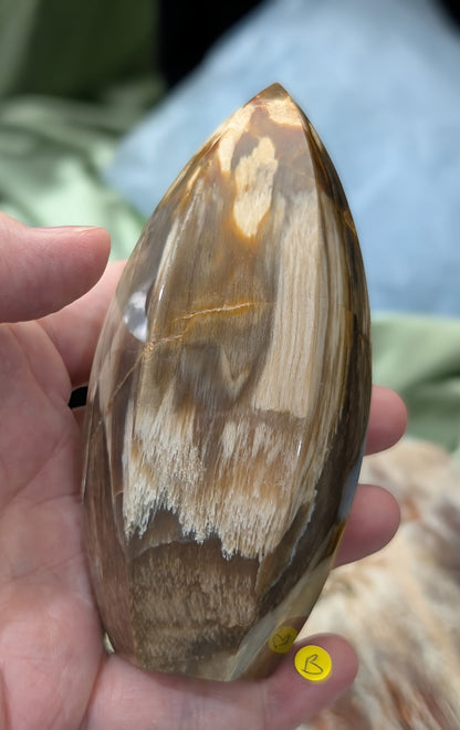 Petrified Wood Spear Point Flame