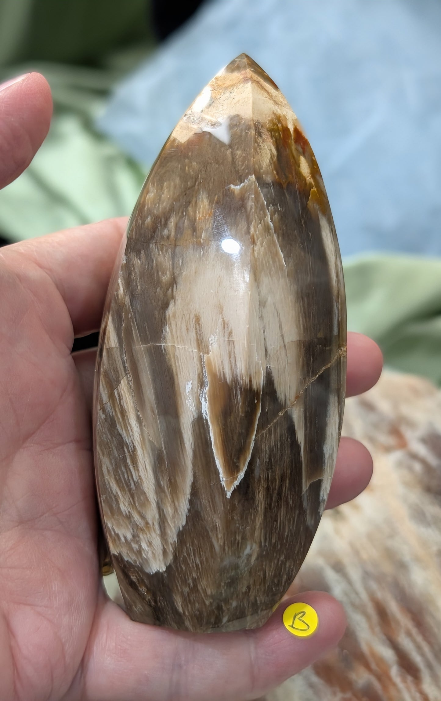Petrified Wood Spear Point Flame