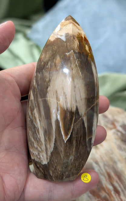 Petrified Wood Spear Point Flame