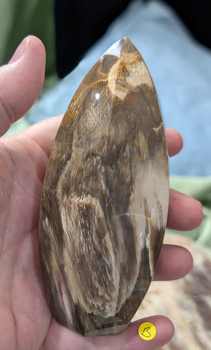 Petrified Wood Spear Point Flame