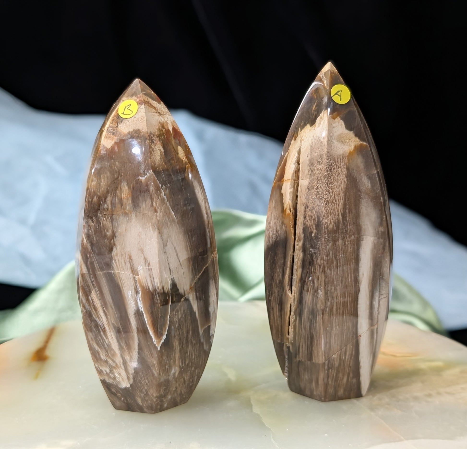 Petrified Wood Spear Point Flames