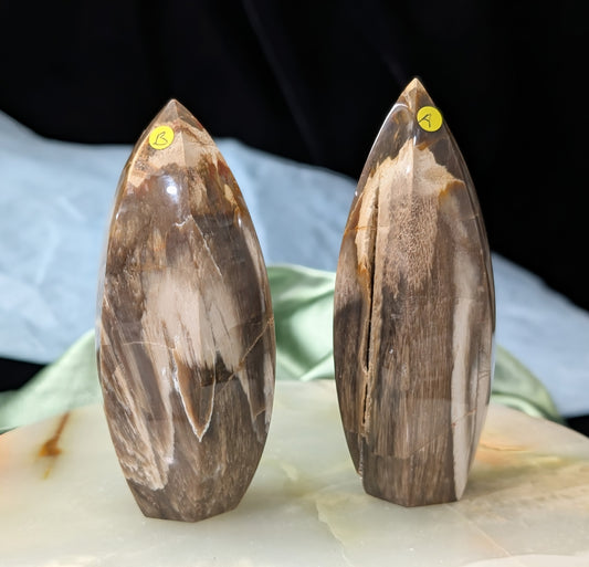 Petrified Wood Spear Point Flames