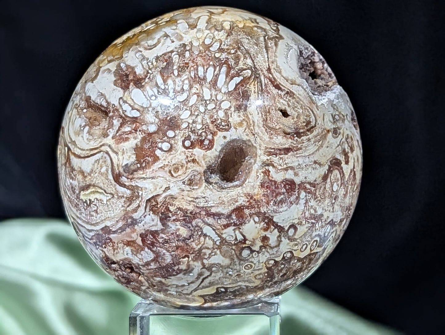 Petrified Wood Sphere