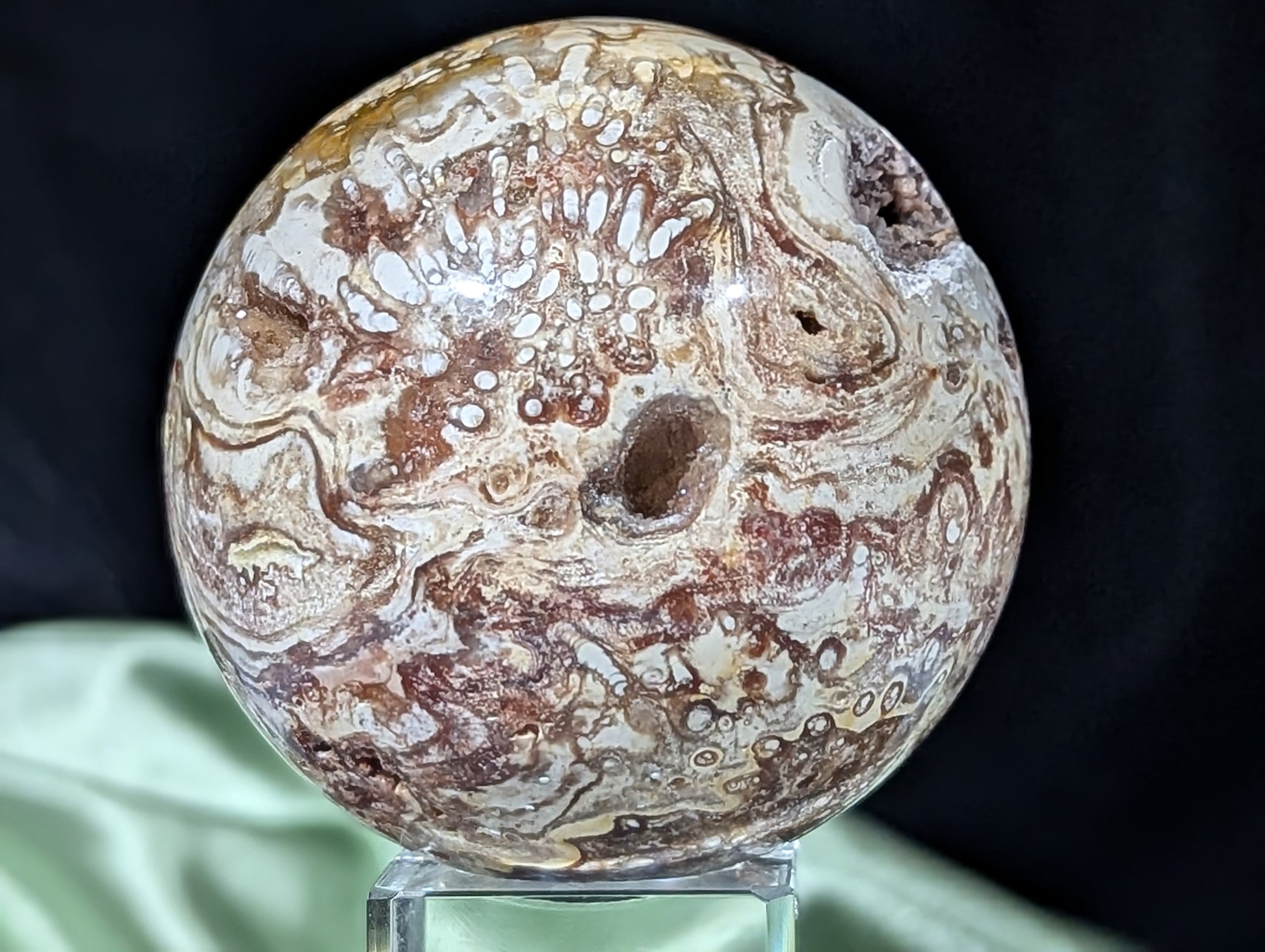 Petrified Wood Sphere