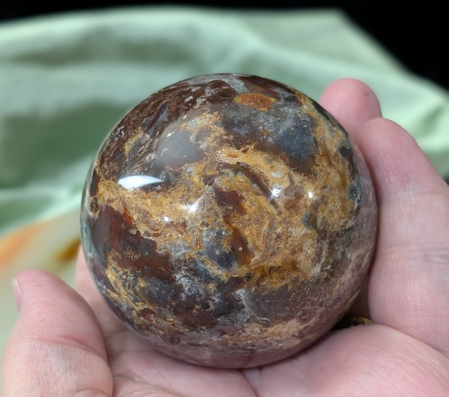 Petrified Wood Sphere