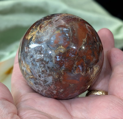 Petrified Wood Sphere