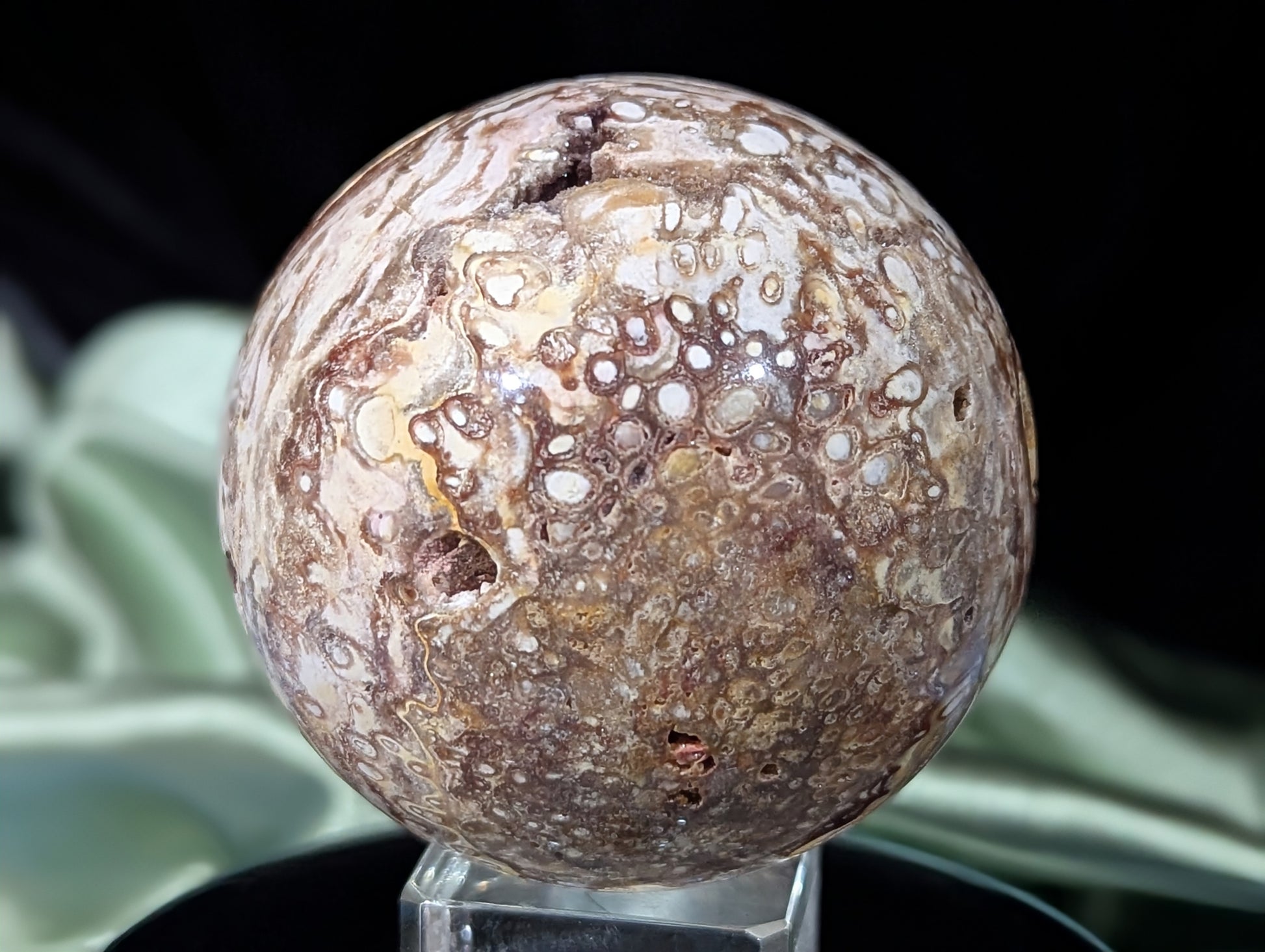 Petrified Wood Sphere