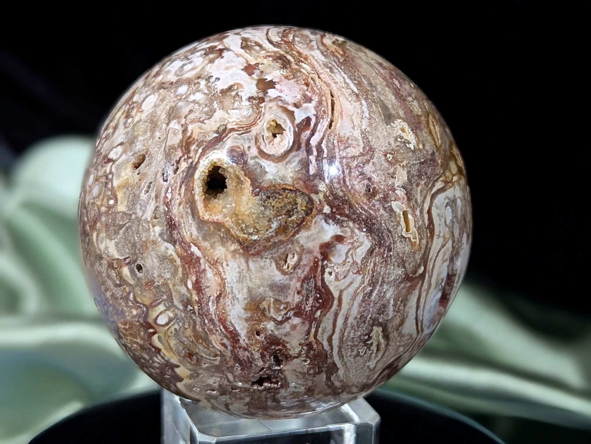 Petrified Wood Sphere