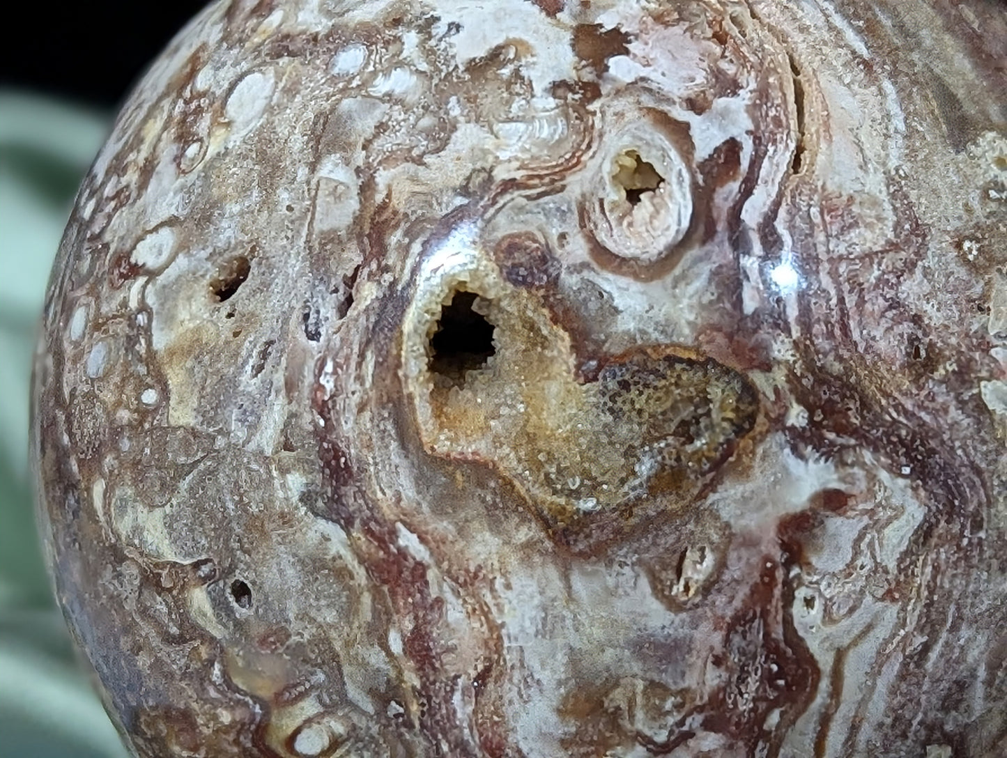 Petrified Wood Sphere