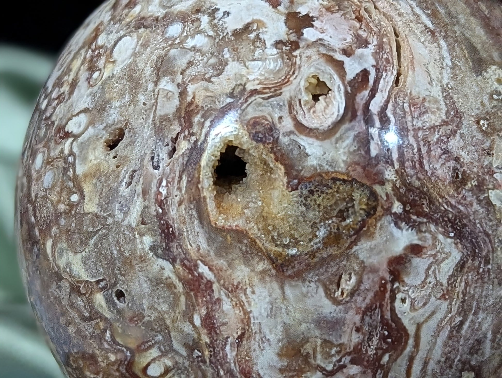 Petrified Wood Sphere