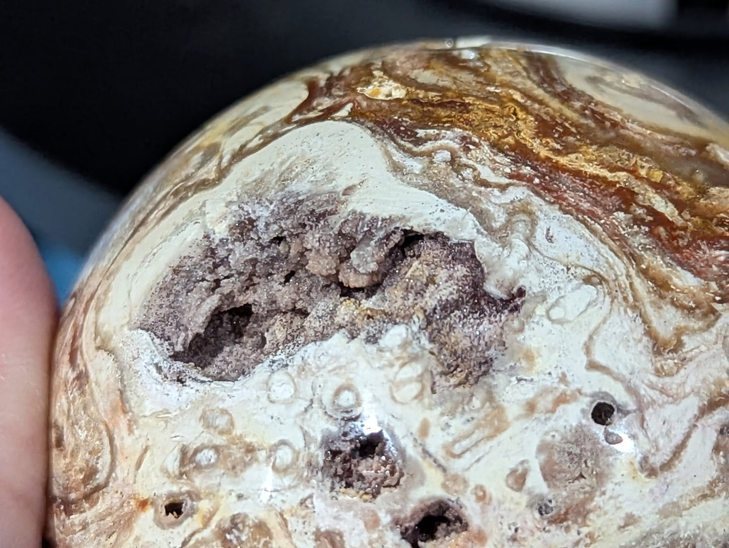 Petrified Wood Sphere