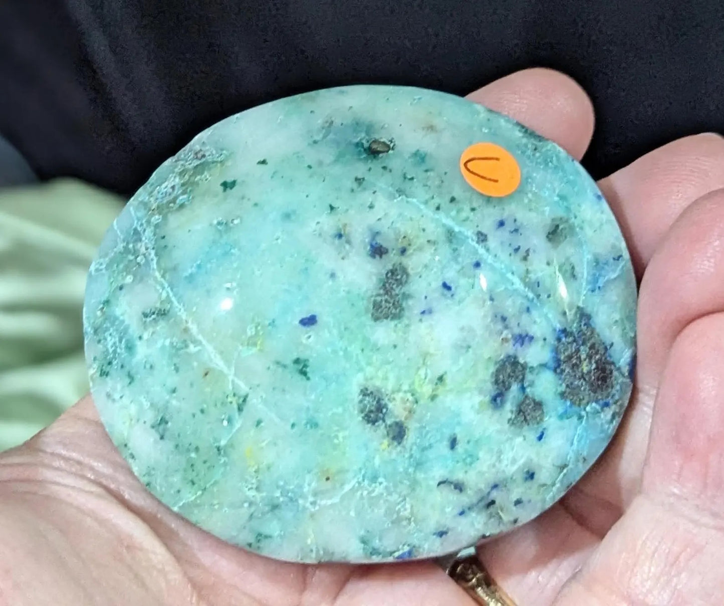 Phoenix Stone Palm Stone
