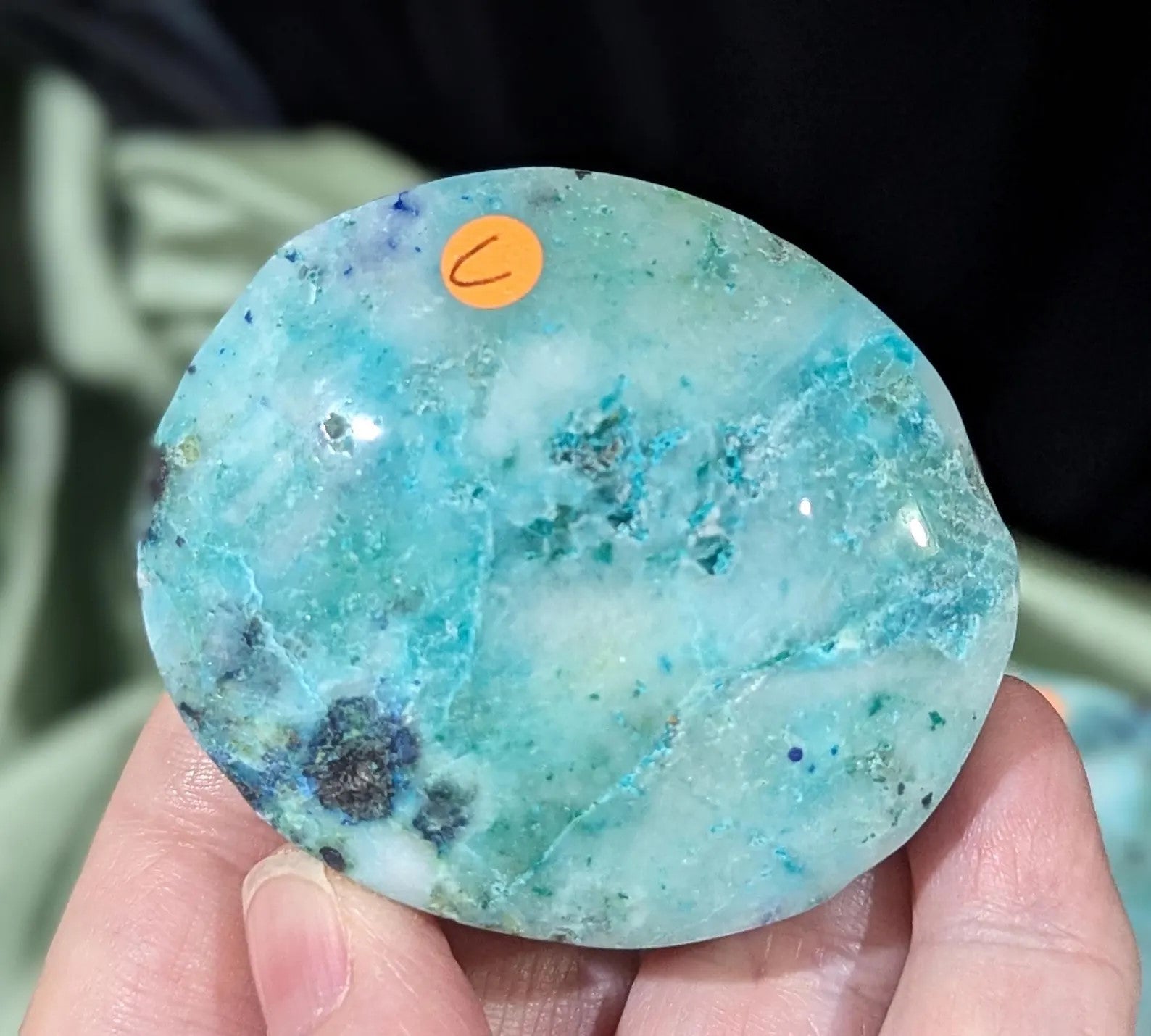 Phoenix Stone Palm Stone