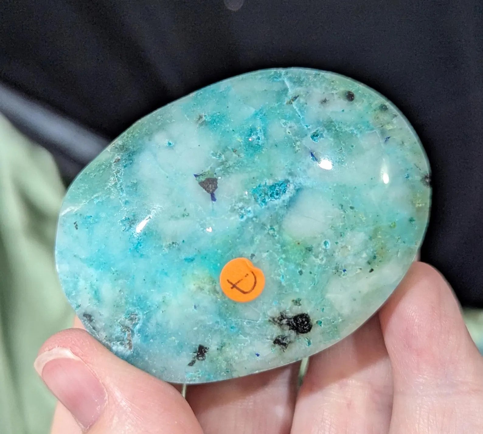 Phoenix Stone Palm Stone