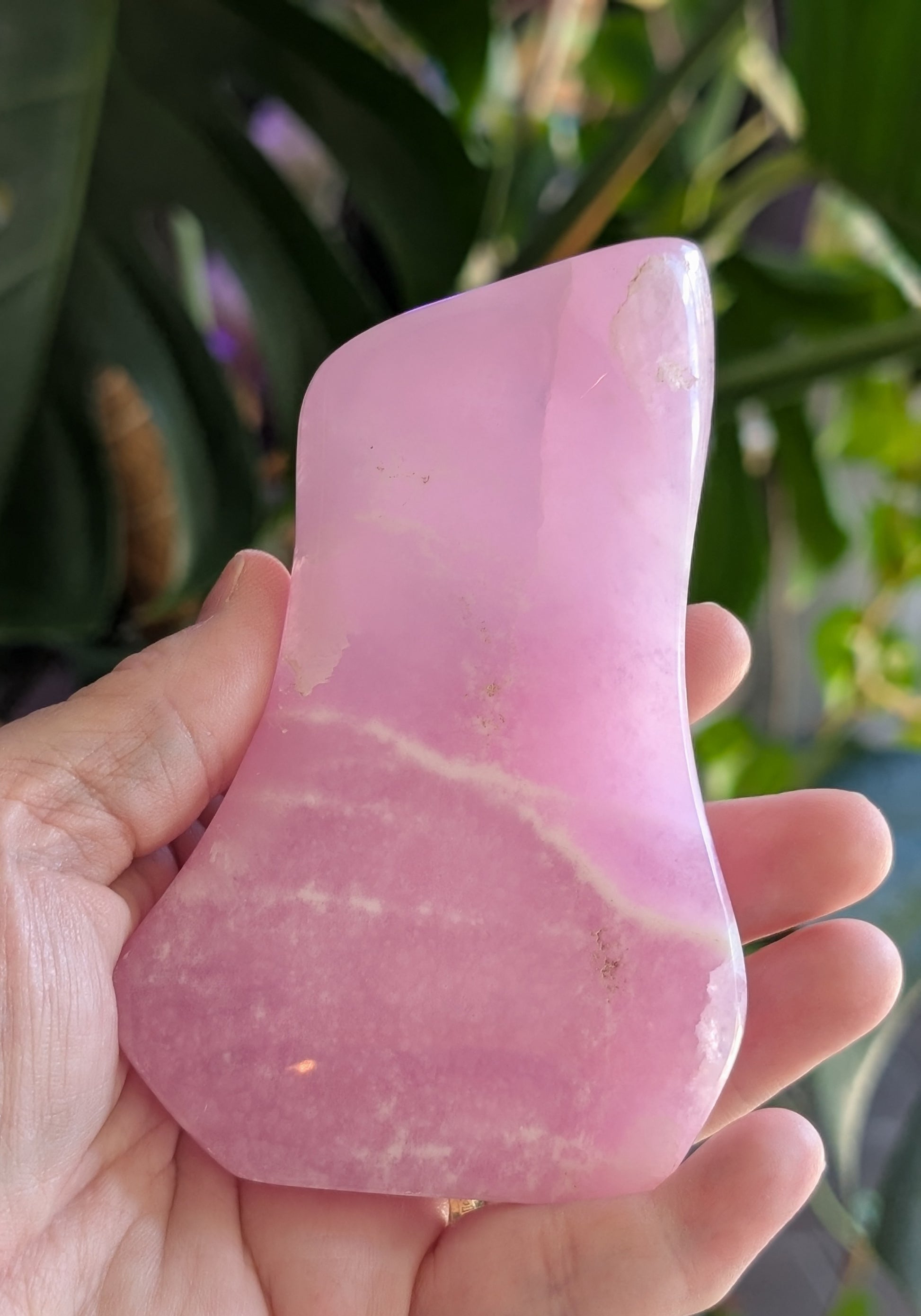 Pink Aragonite Freeform