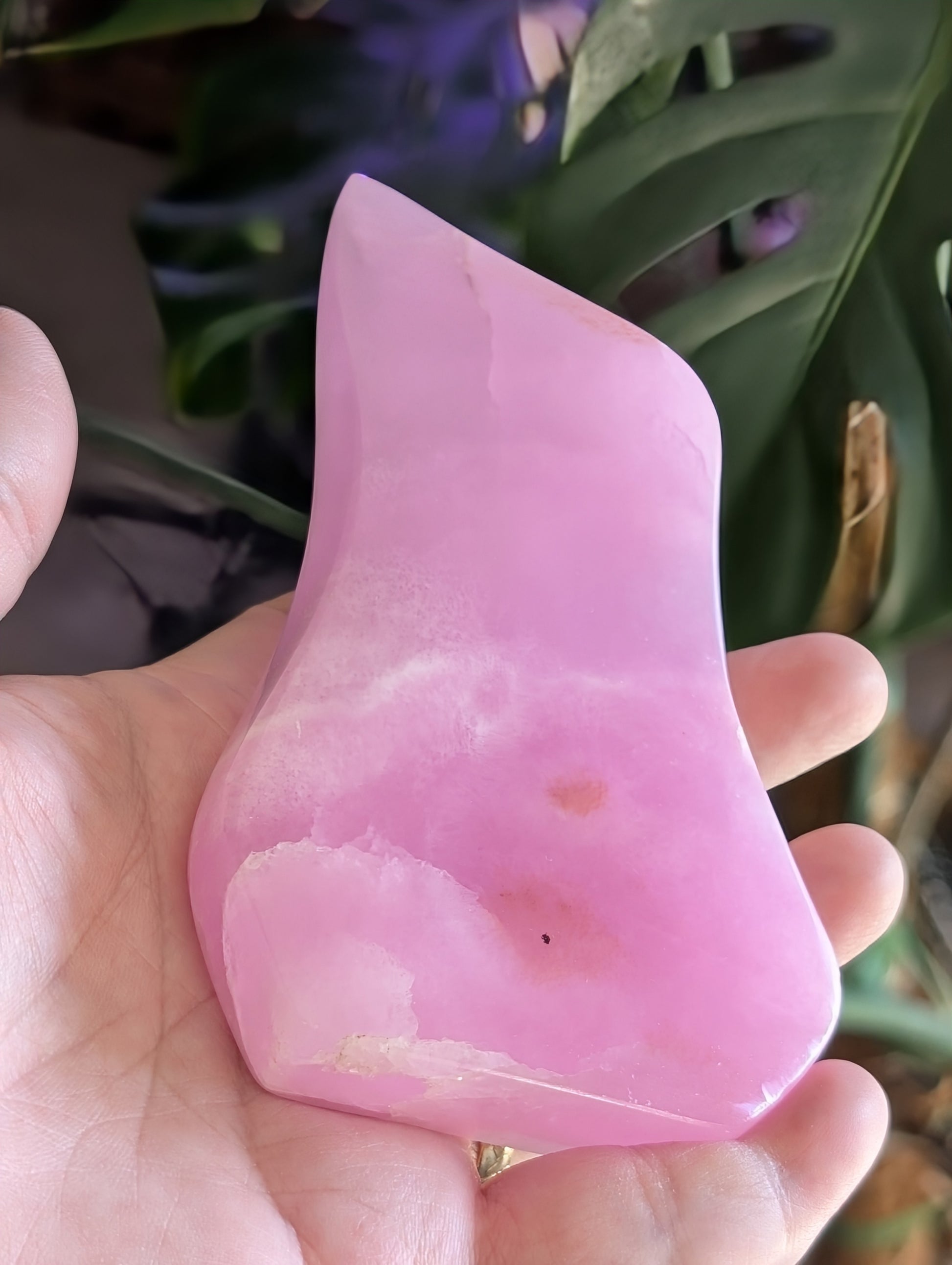 Pink Aragonite Freeform