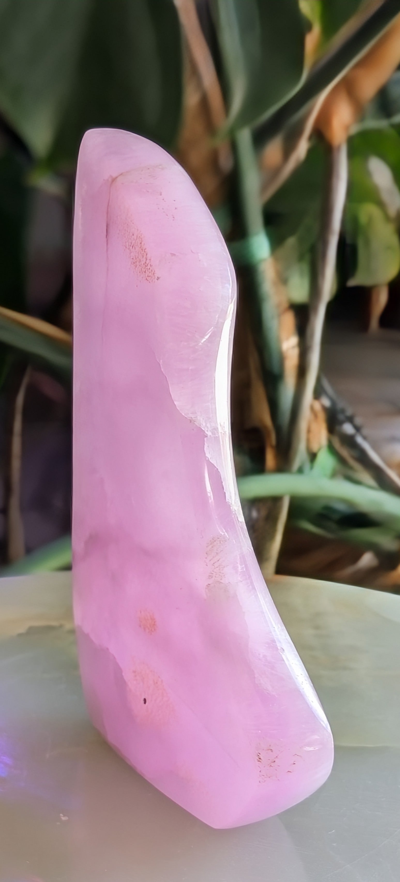 Pink Aragonite Freeform