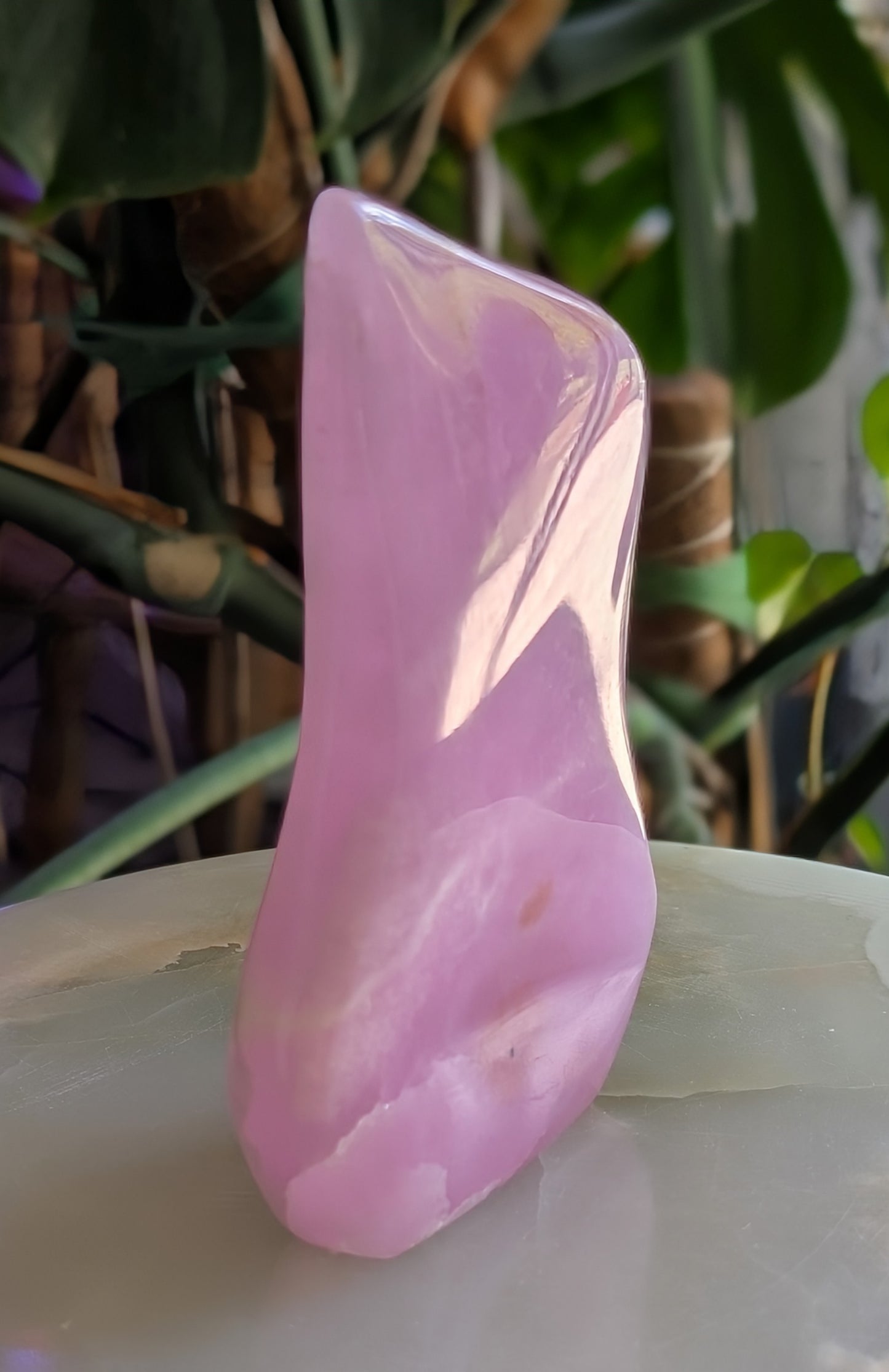 Pink Aragonite Freeform