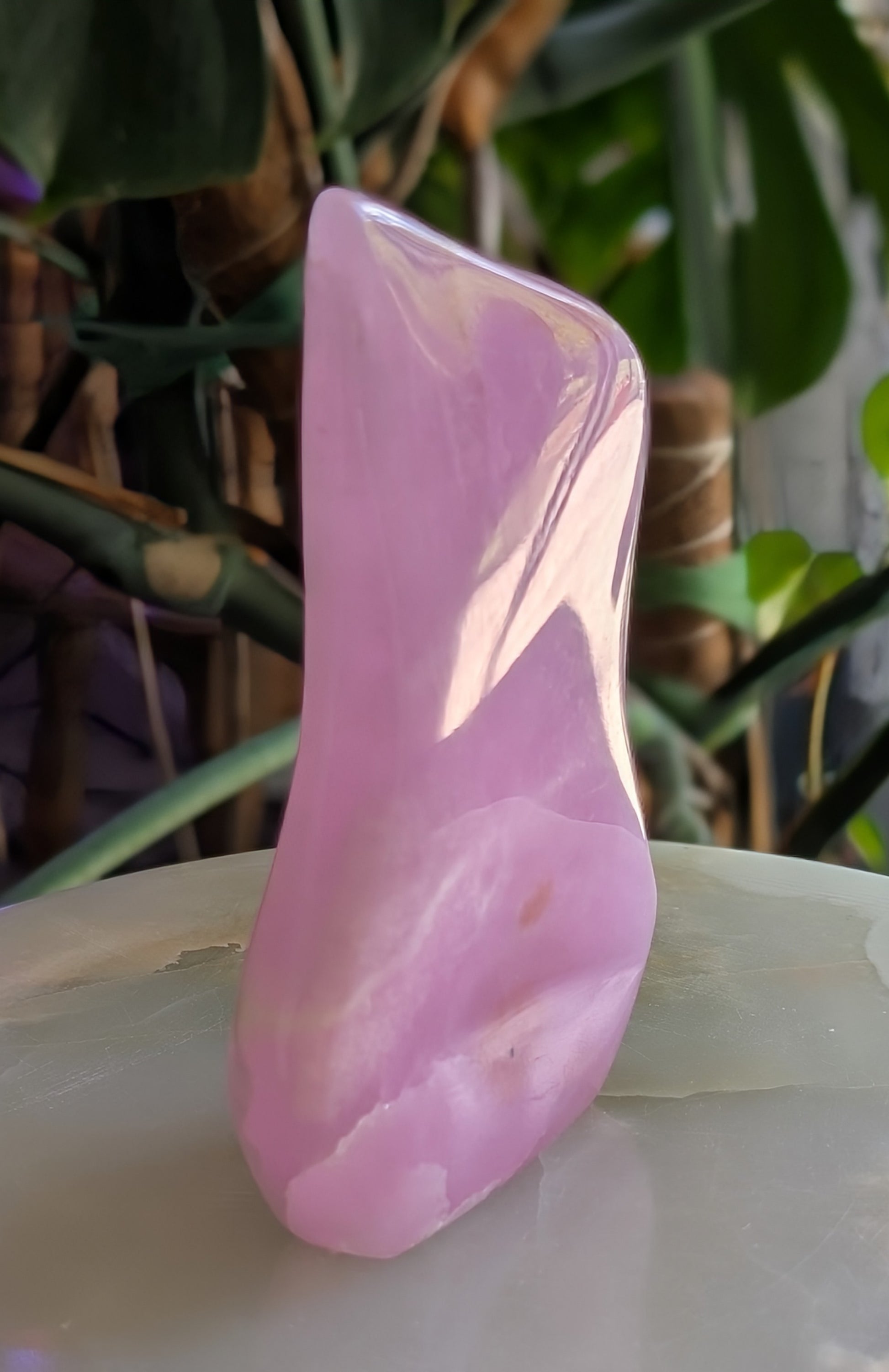 Pink Aragonite Freeform