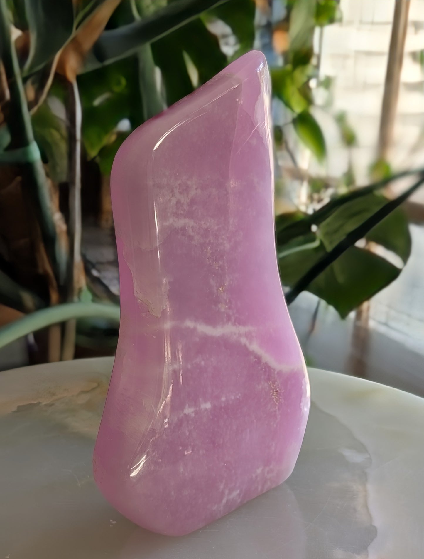 Pink Aragonite Freeform