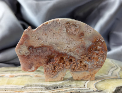 Pink Crazy Lace Agate Wombat Figurine