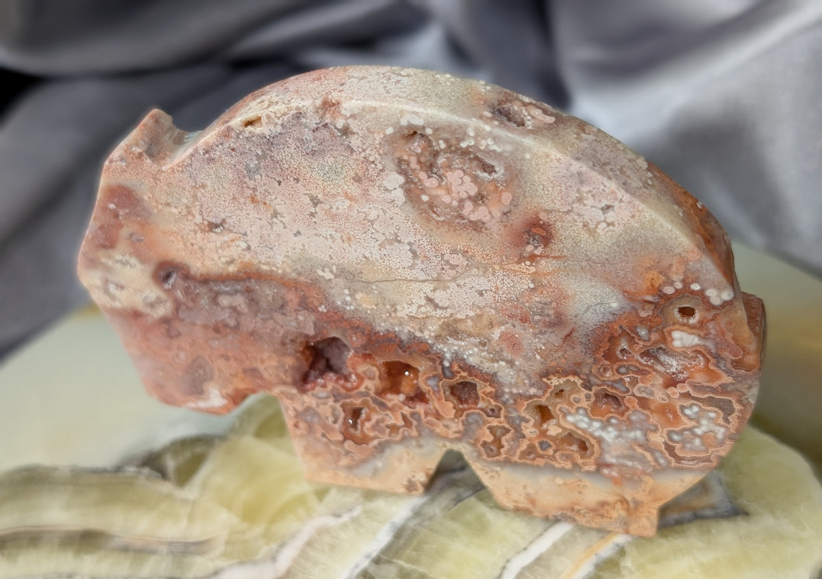 Pink Crazy Lace Agate Wombat Figurine