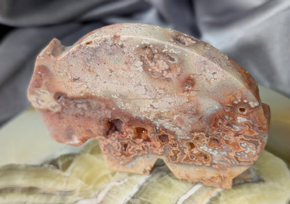 Pink Crazy Lace Agate Wombat Figurine