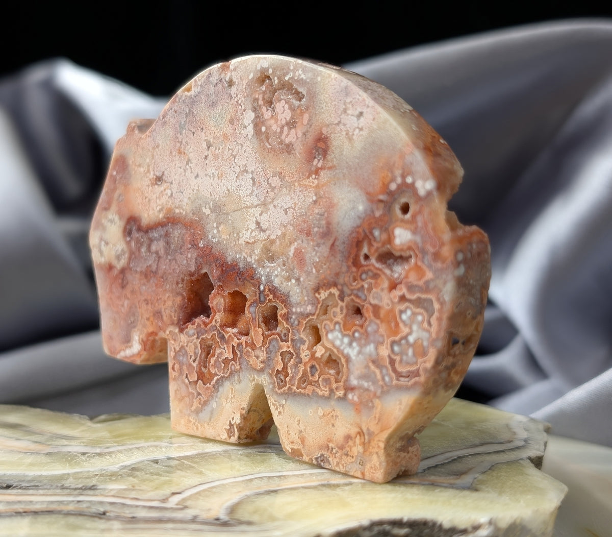 Pink Crazy Lace Agate Wombat Figurine