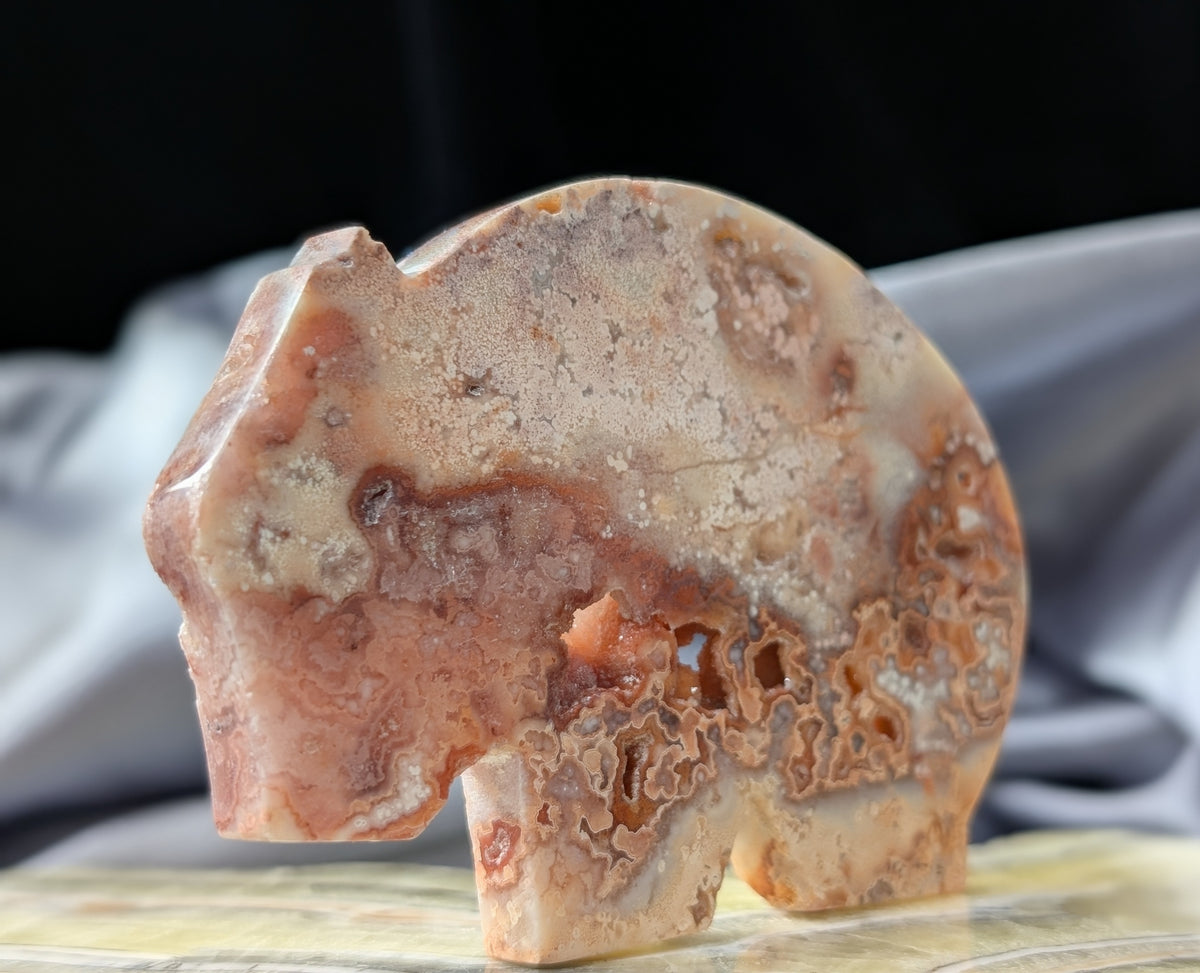 Pink Crazy Lace Agate Wombat Figurine