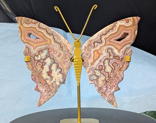 Pink Crazy Lace Butterfly
