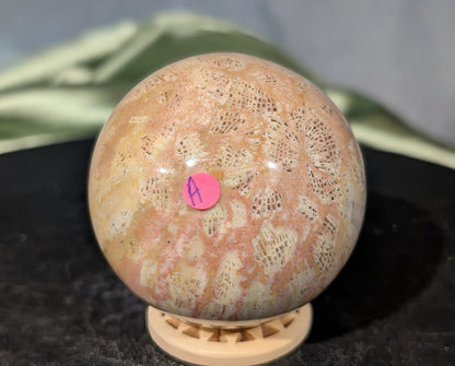 Pink Fossil Jasper Sphere